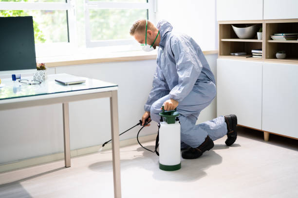 istock Pest Control Exterminator Man Spraying Pesticide 1406458400