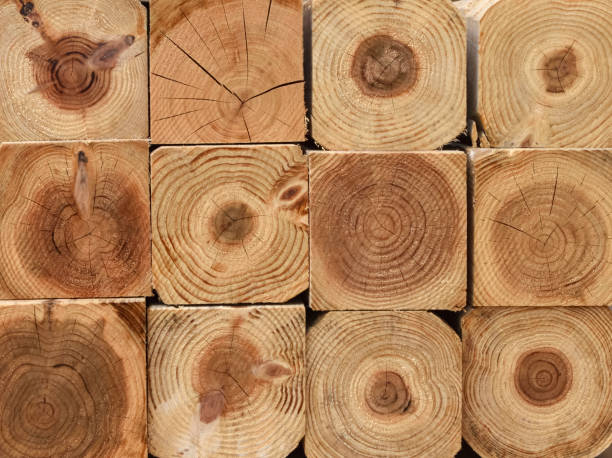 istock Lumber with annual rings. Cut out wood. 1406458492