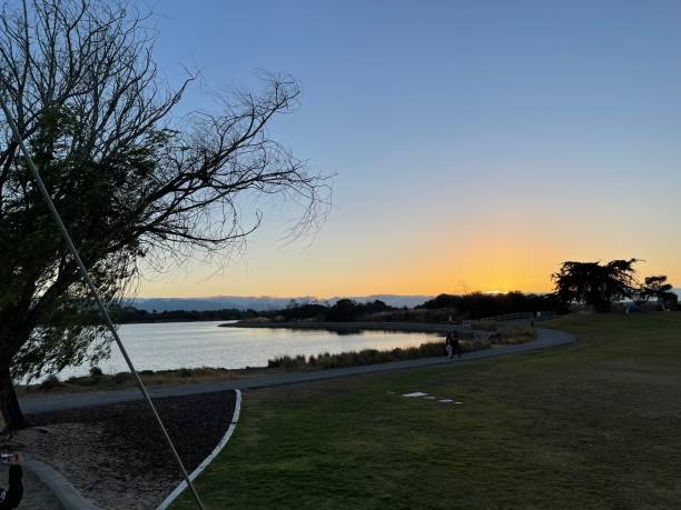 istock sunset on the lawn next to the trees 1406459422