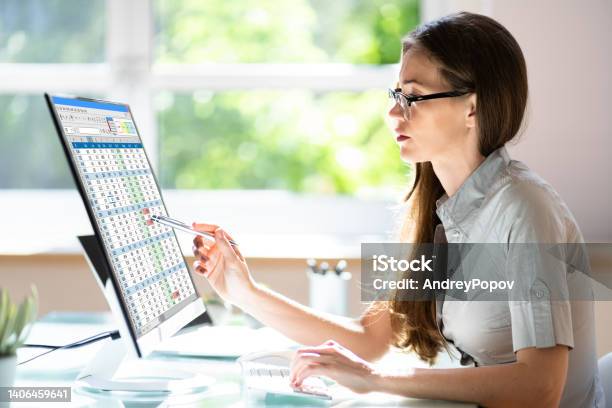 Electronic Spreadsheet On Analyst Auditor Computer Stock Photo - Download Image Now - Medical Exam, Healthcare And Medicine, Financial Bill