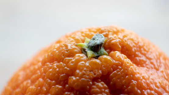 Closeup macro shallow depth of field shot of the stalk of an ageing wrinkly orange