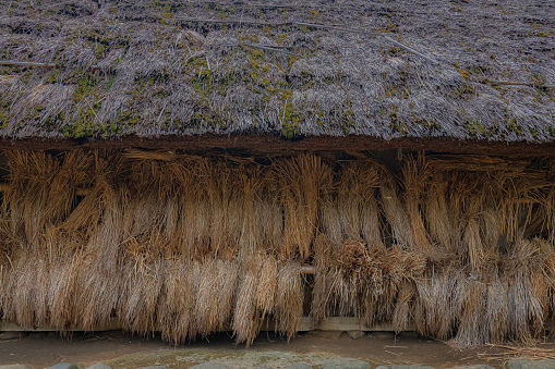 Straw bundles dried under the eaves of a thatched roof
