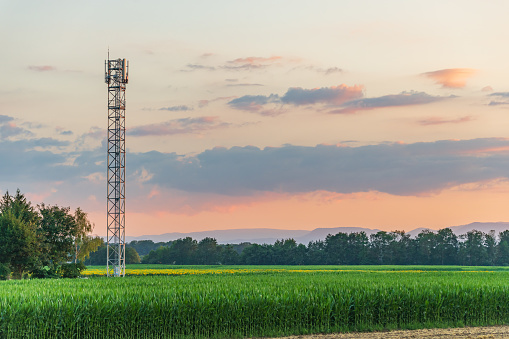 Telecom antenna in countryside in summer at sunset. Alsace, France.
