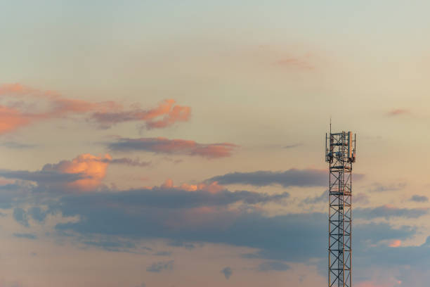 Telecom antenna in countryside in summer at sunset. Alsace, France.