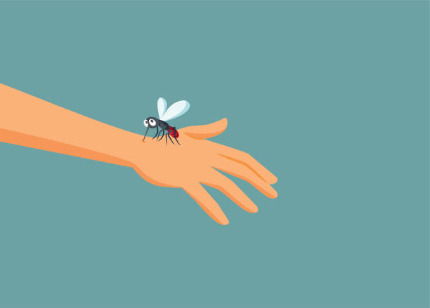 Mosquito Biting a Hand Vector Cartoon Illustration Person having a painful wound from mosquito attacks parasite infestation stock illustrations