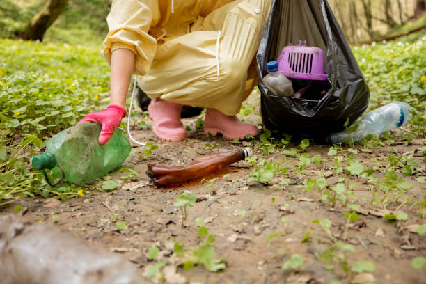 istock Woman collecting scattered plastic garbage in the woods 1406477432