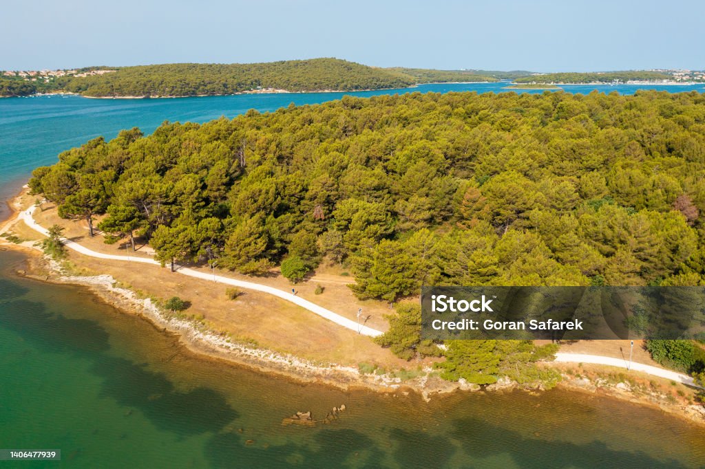 Aerial view of a coastal pine forest near Medulin town in Istra, Croatia Adriatic Sea Stock Photo