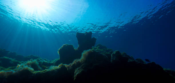 istock Underwater landscape in rays of light 1406481701