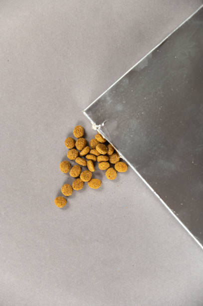 istock A silver rectangular box against a gray background. Pet food spilling out of the hole. Dry pelleted food. Pet food. Selective focus. 1406483222