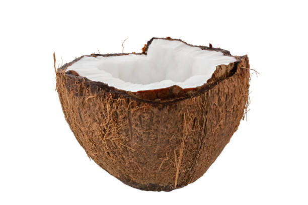 istock Coconut, isolated on white background. Full depth of field. 1406485636
