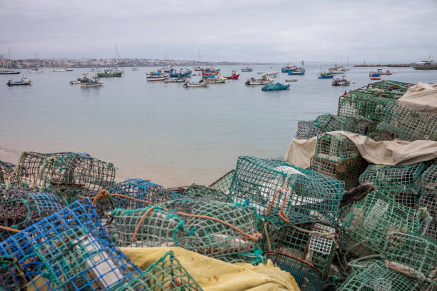istock Portugal Cascais in Summer 1406488028