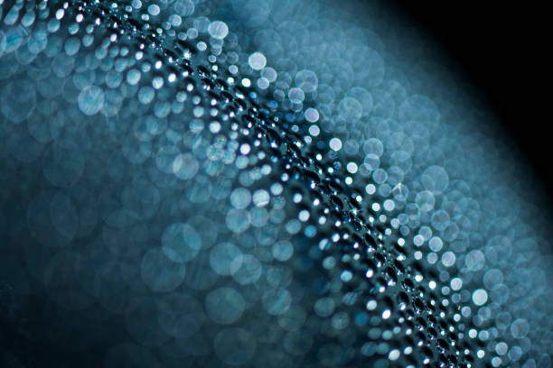 istock Abstract blue bubbles of water 1406488046