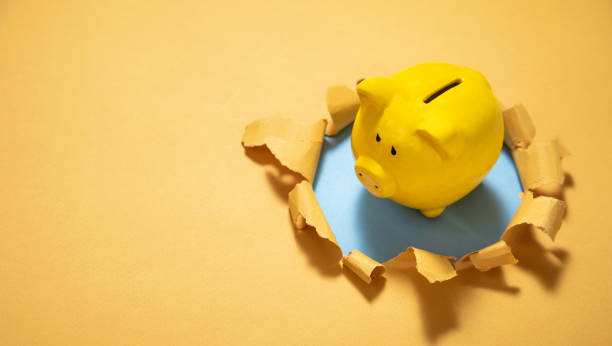 istock Piggy bank with a torn paper. 1406490156