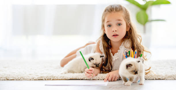 istock Girl painting with ragdoll kittens 1406491372