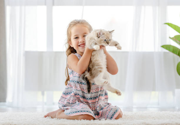 istock Girl with ragdoll kitten 1406491403