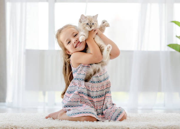 istock Girl with ragdoll kitten 1406491418