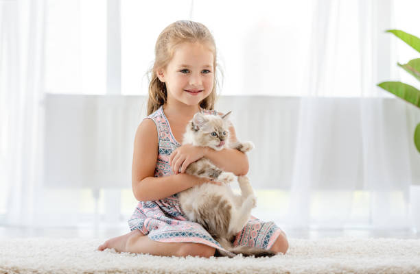 istock Girl with ragdoll kitten 1406491433