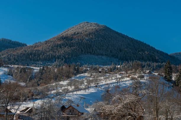 istock Carpathians winter landscape with mountains and trees 1406491520