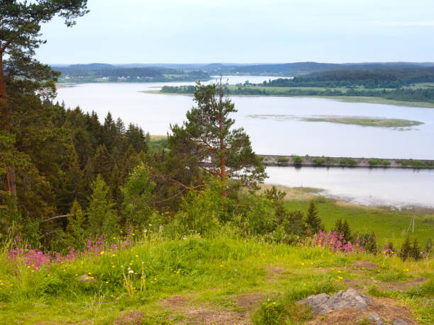 istock View of river and woods in Karelia 1406492591