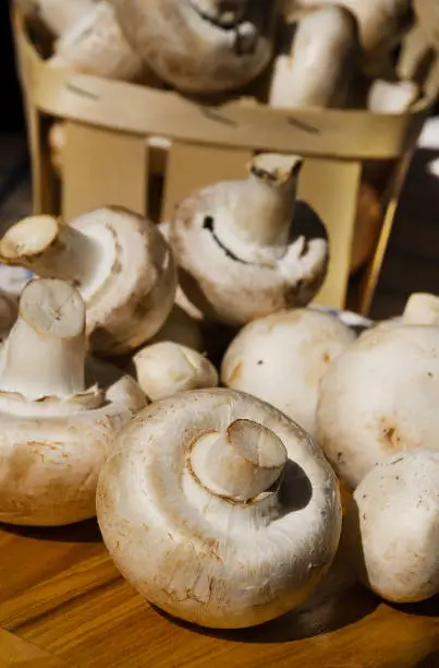 Photo of Fresh champignon mushrooms close-up full frame.