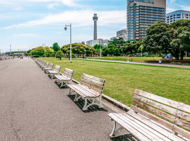 istock Bench by the sea surrounded by green grass (Yamashita Park in Yokohama) 1406494949
