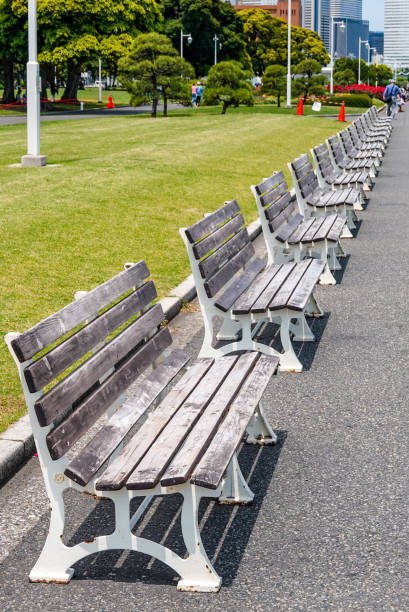 istock Bench by the sea surrounded by green grass (Yamashita Park in Yokohama) 1406494950