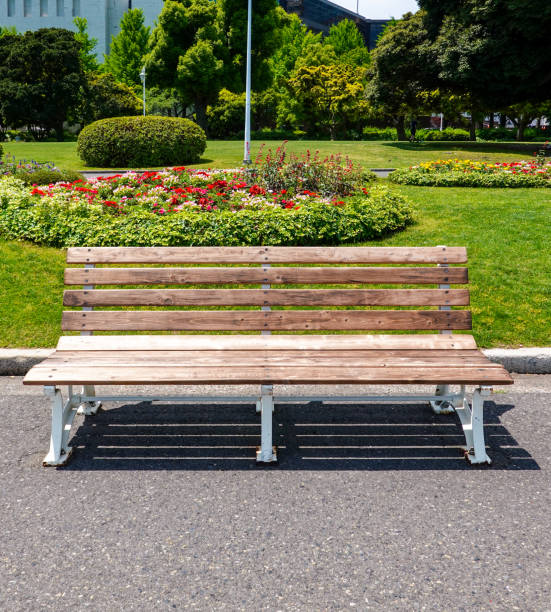 istock Bench by the sea surrounded by green grass (Yamashita Park in Yokohama) 1406494952