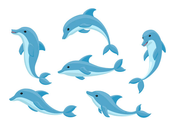 ilustrações de stock, clip art, desenhos animados e ícones de cute cartoon dolphin collection. flat vector illustration set of realistic dolphins jumping, swimming, smiling. happy funny dolphins  in various poses isolated on white. - dolphin aquarium bottle nosed dolphin smiling