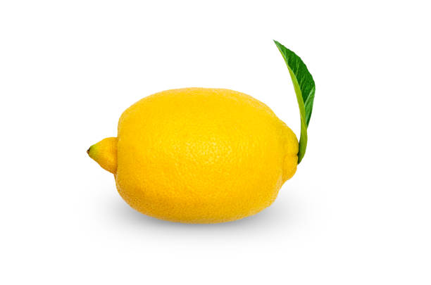istock yellow ripe lemon, density on white background 1406504159