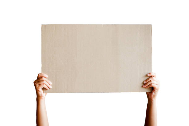 istock Woman hand showing empty  cardboard 1406505237