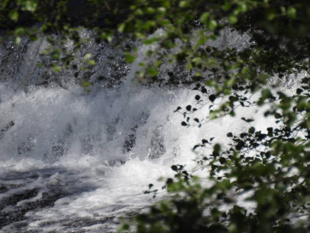 istock Bottom of agua brava 1406505421