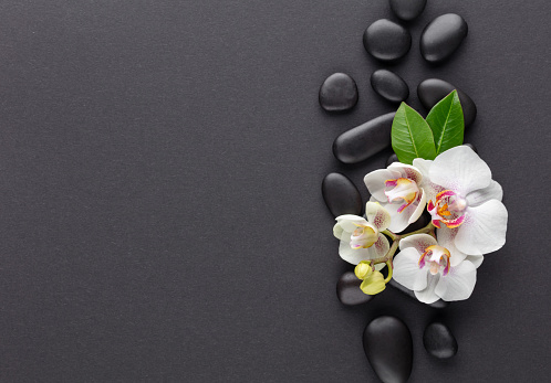 Spa massage stone, orchid theme objects on grey background.