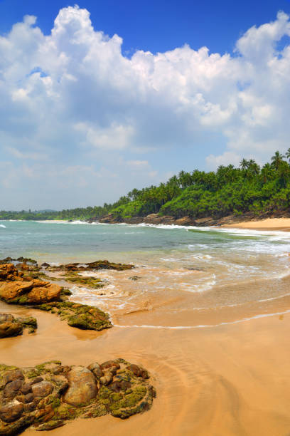 istock sea waves on tropical beach with stones and rocks 1406511986