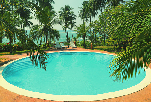 palm leaves in front of the swimming pool by the sea on a tropical resort - vintage retro style
