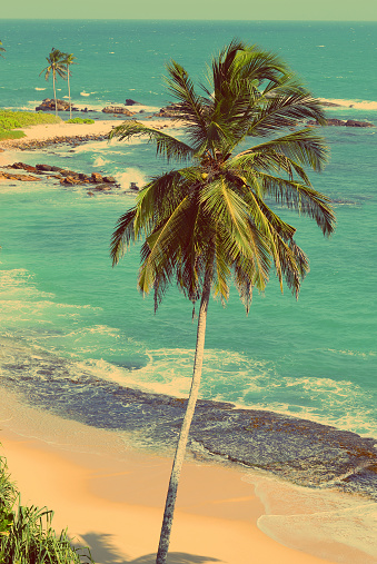beautiful tropical beach landscape with palm - vintage retro style