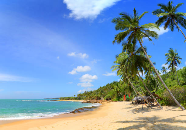istock beautiful tropical beach landscape 1406512522
