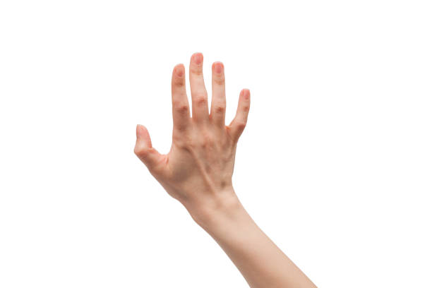 istock Woman hand isolated on a white background. 1406514447