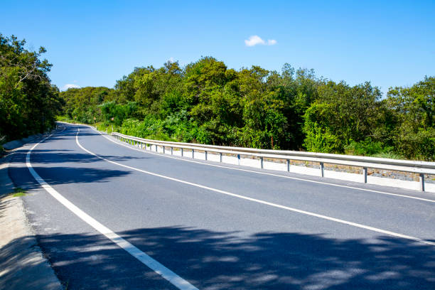 Empty road through forest in Istanbul, Turkiye