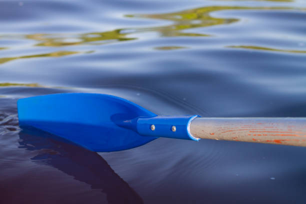 Crossing oars isolated on white background. Plastic paddle. 3d render