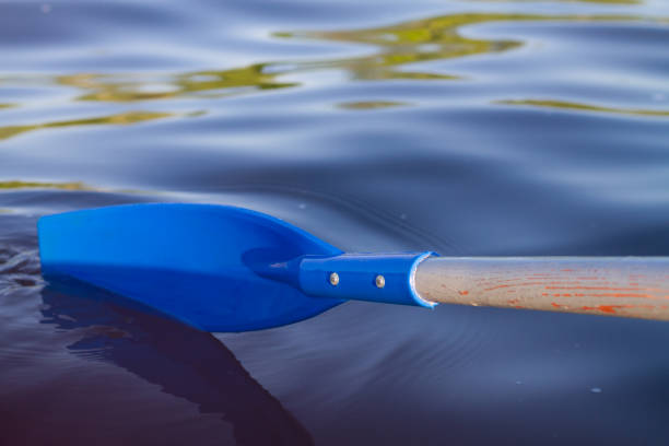 The blue paddle from the boat was rowing the water stock photo