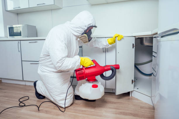 white worker spraying pesticide on induction hob stock photo