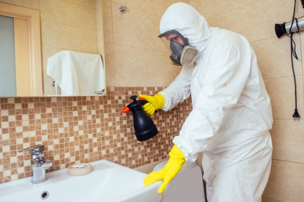 pest control worker spraying pesticides with sprayer in bathroom:processing the toilet and shower stock photo