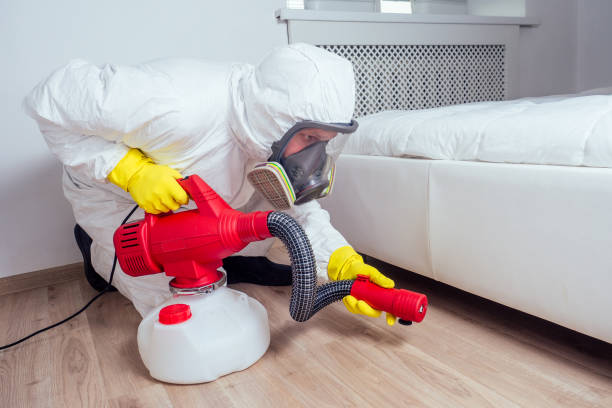 pest control worker lying on floor and spraying pesticides in bedroom stock photo