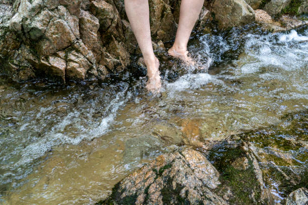 istock Feet in the cold valley water on a hot summer day 1406519632