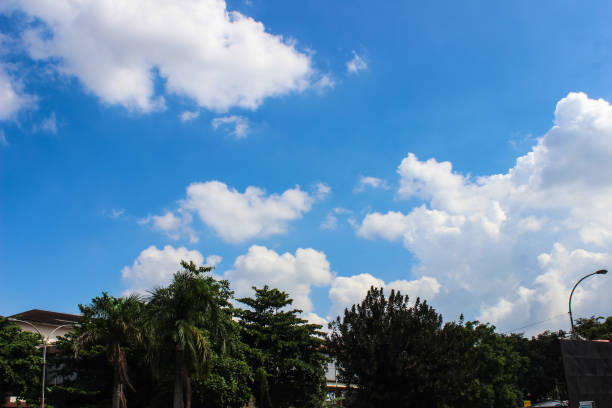 istock Green Trees and Blue Sky with White Clouds 1406520824