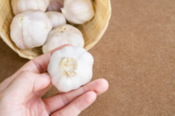 istock Blur hand and fresh garlic bulbs on garlic background. 1406520837