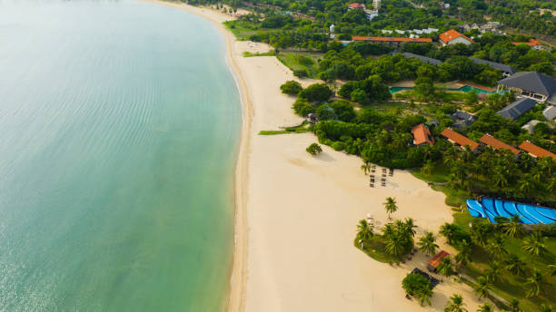 una playa tropical con palmeras y un océano azul. - above the cloud sea fotografías e imágenes de stock