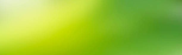 istock Blurred green leaves tree beautiful abstract background. 1406525951