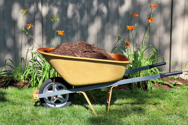 Wheelbarrow filled with mulch and back yard garden Close up of wheelbarrow filled with mulch in back yard garden wheelbarrow stock pictures, royalty-free photos & images