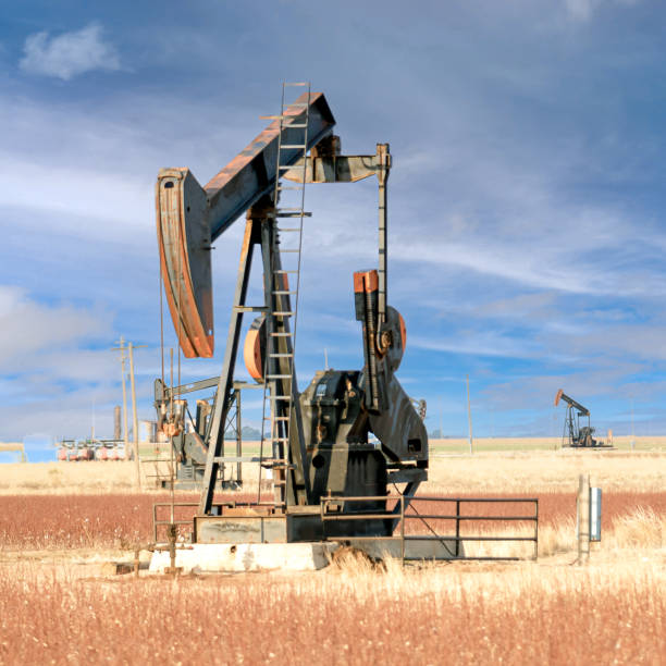 istock Oil drilling pump jack in a field in Texas 1406527982